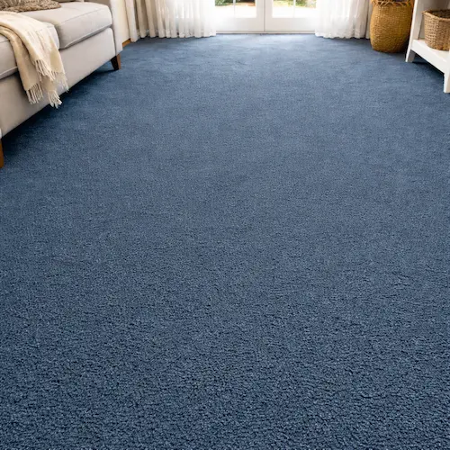 carpet cleaning fremont (2)