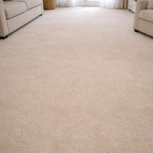 commercial carpet cleaning