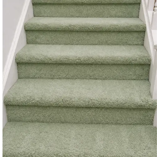 fremont carpet cleaning service