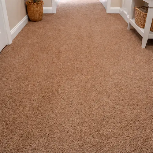 steam carpet cleaning
