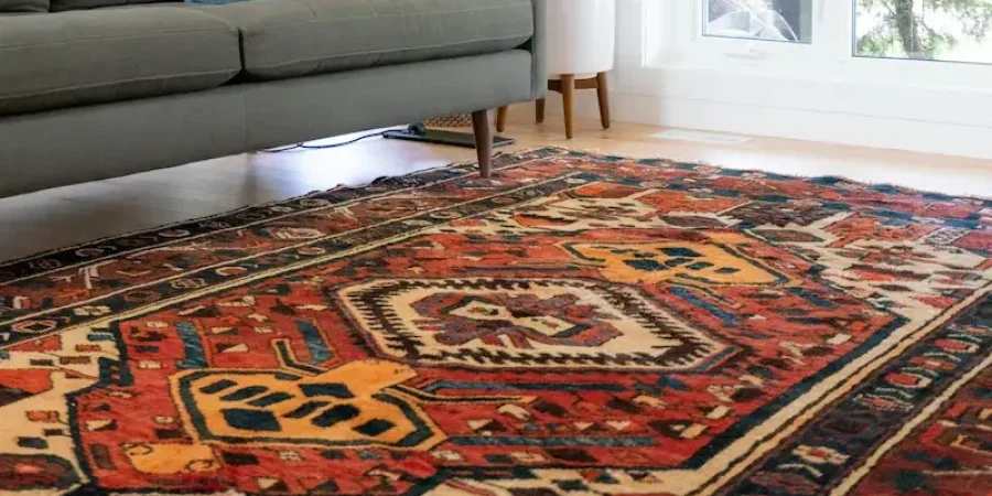 Professional carpet cleaning