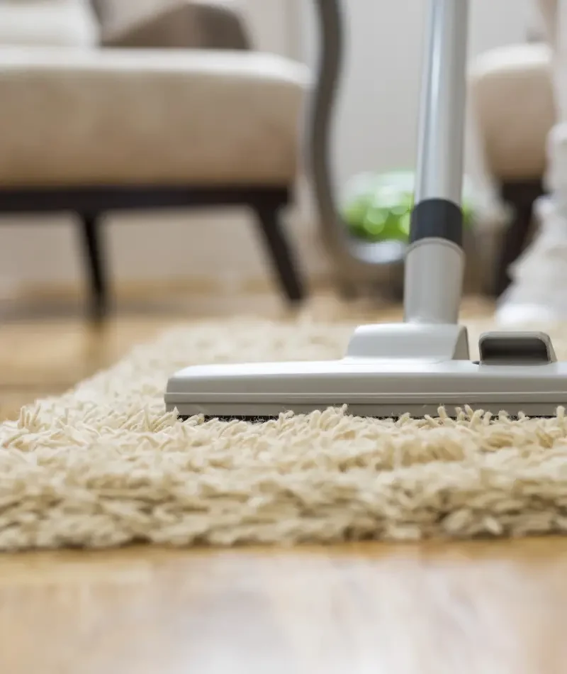 expert rug cleaning fremont