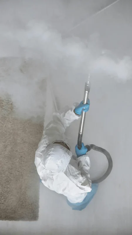 sunnyvale carpet cleaning company