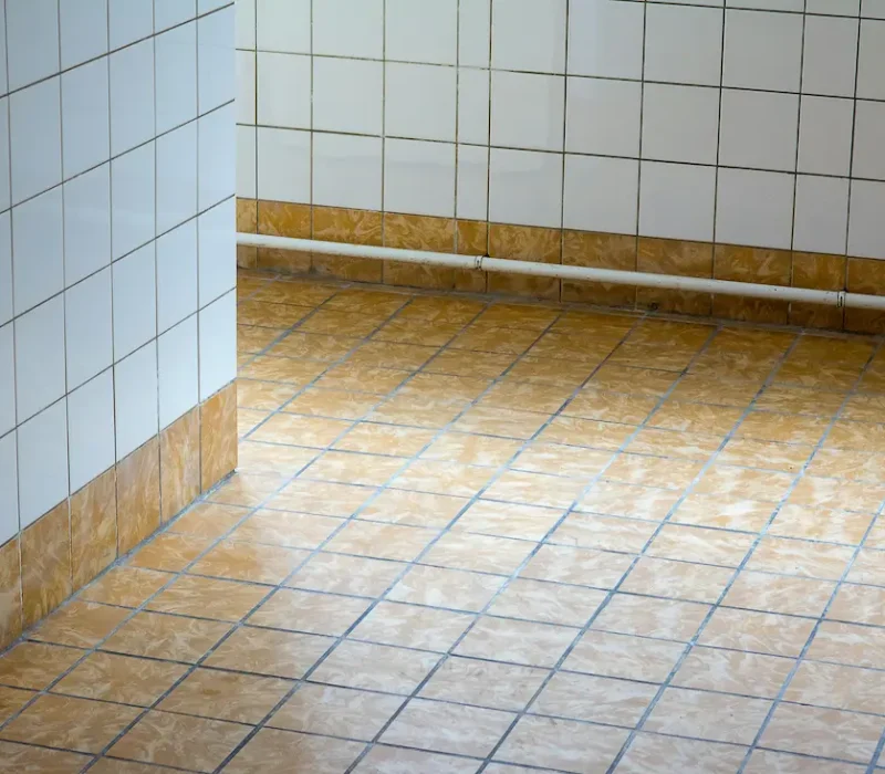 tile and grout cleaning campbell