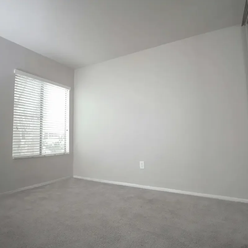 trusted carpet cleaning