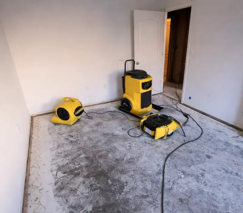 water damage repair san jose