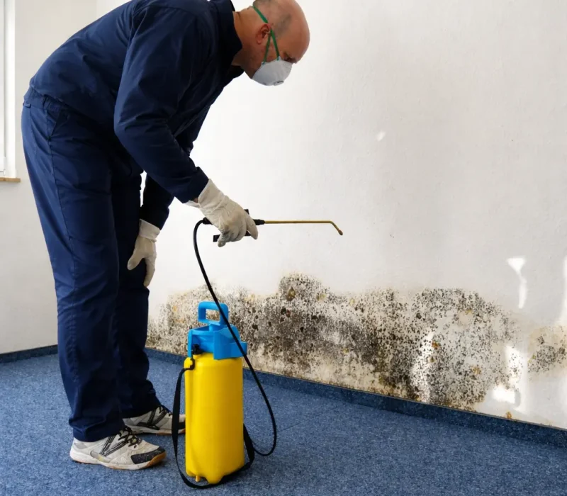 water damage restoration